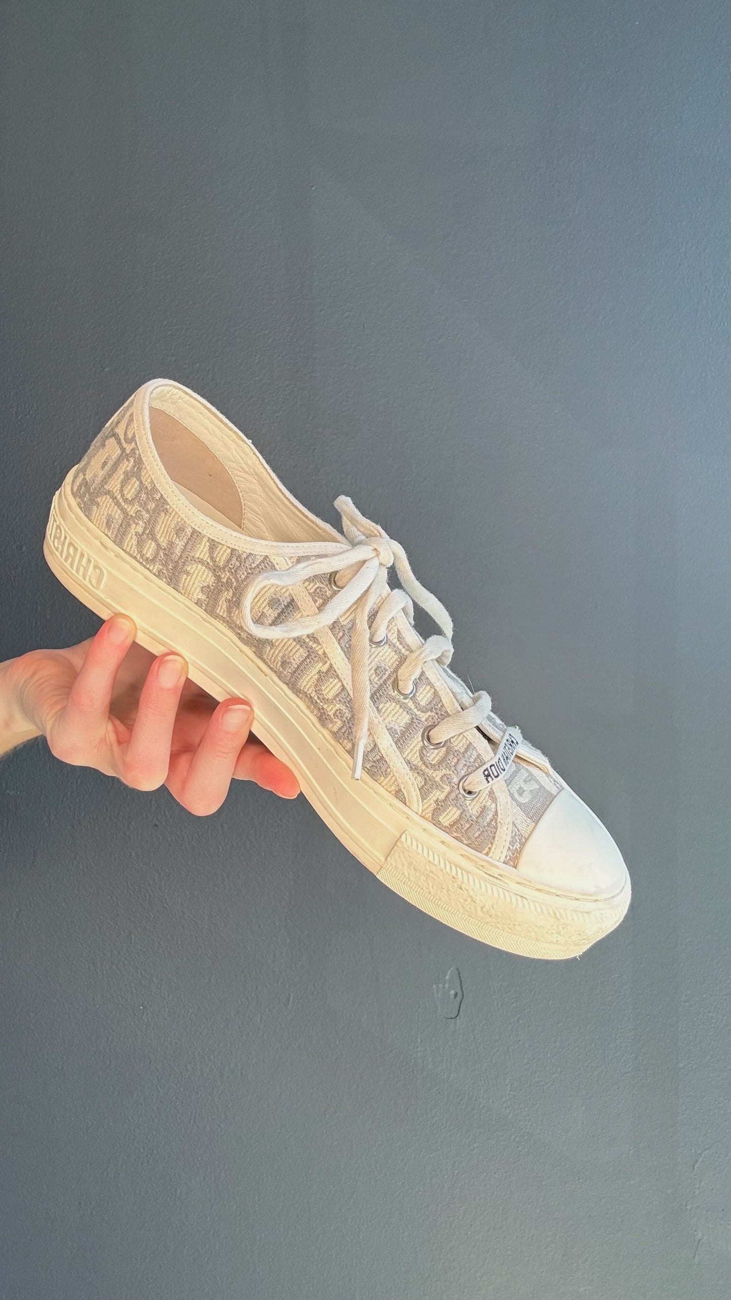 Christian Dior Walk'n'Dior Sneakers - 41