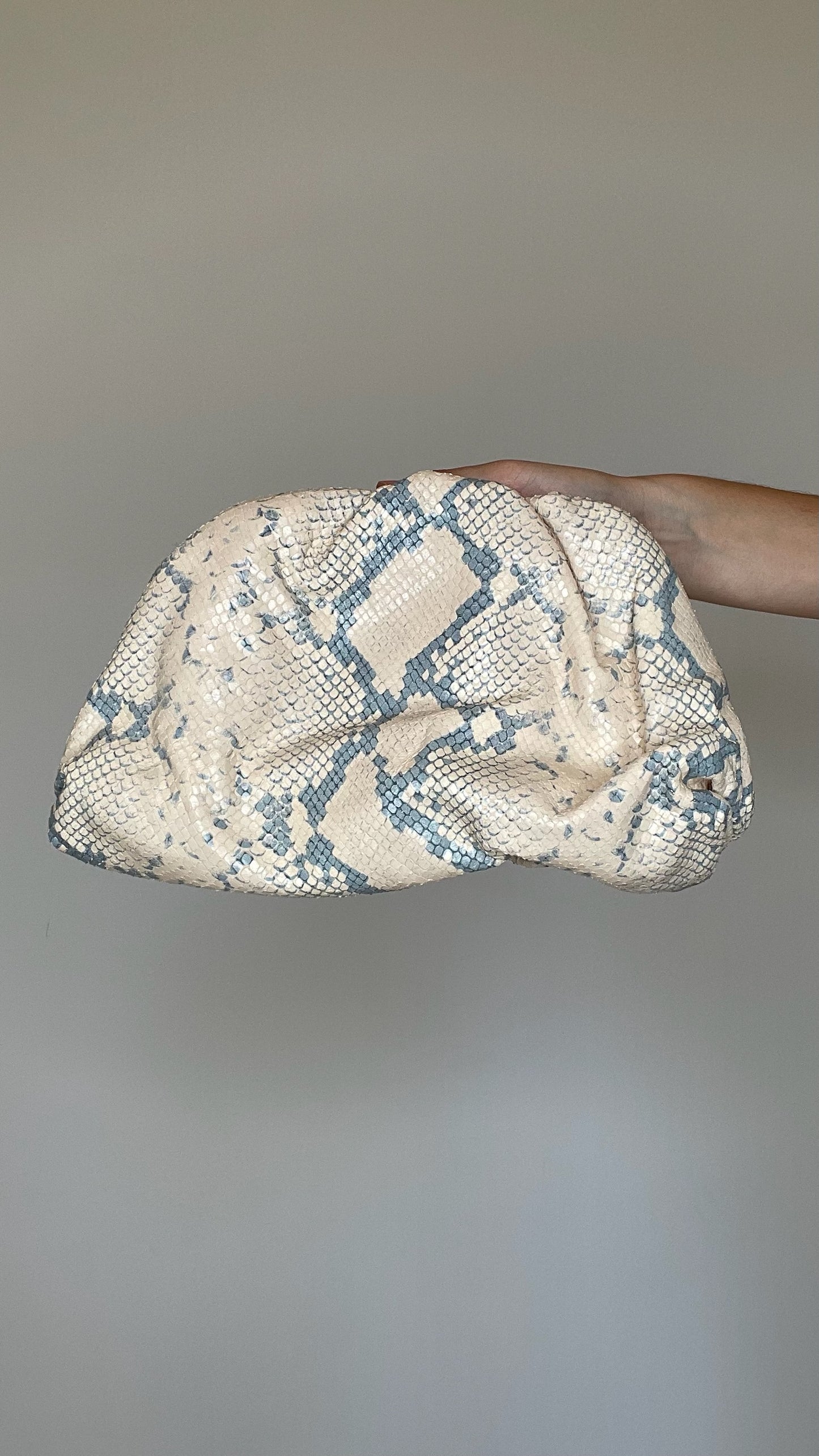 Python Pouch Mini Clutch