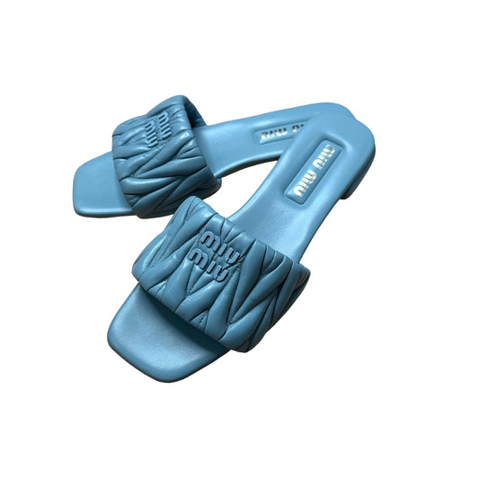 Blue Logo Slides