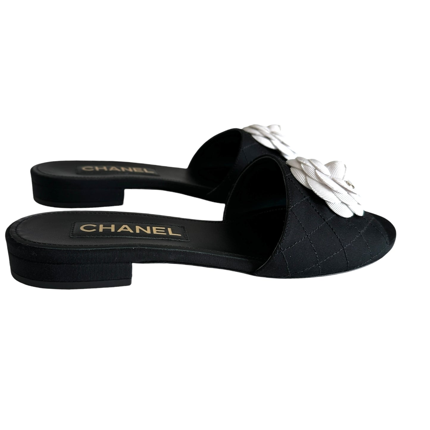 Logo Camelia Slides - 9.5