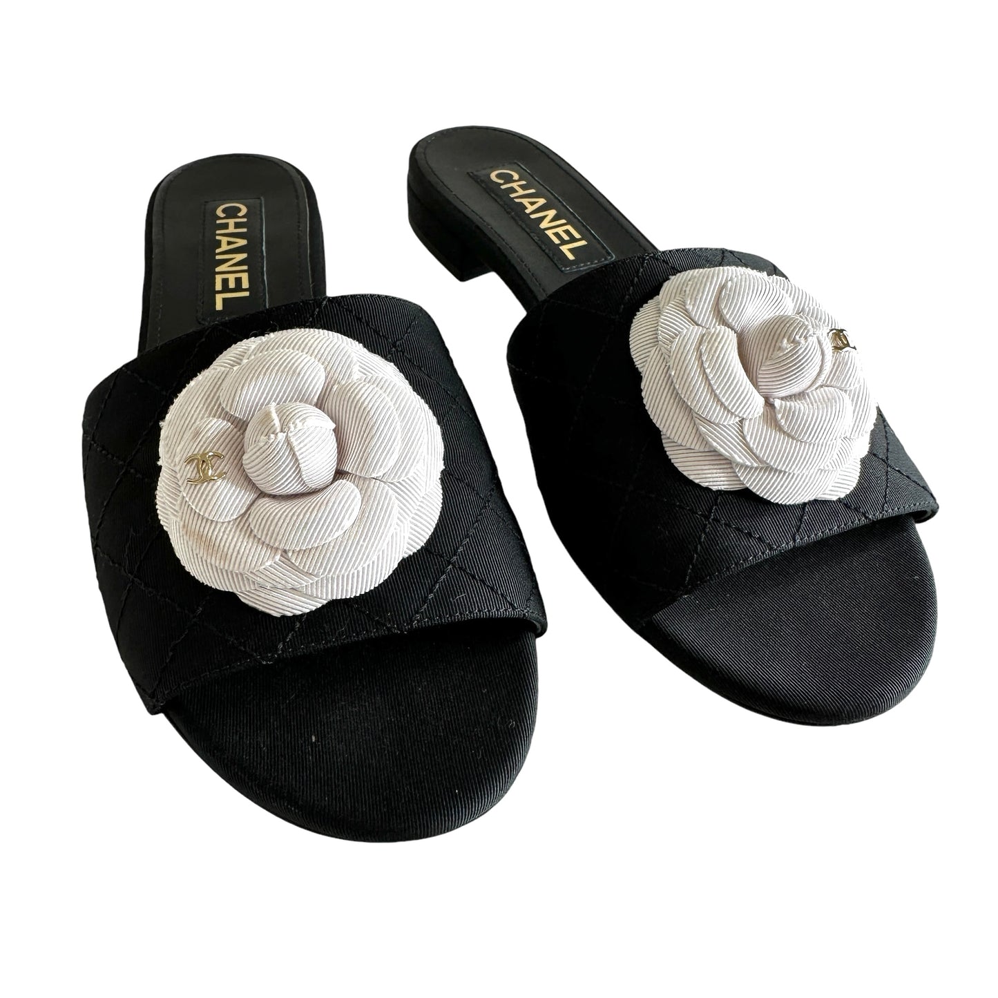Logo Camelia Slides - 9.5