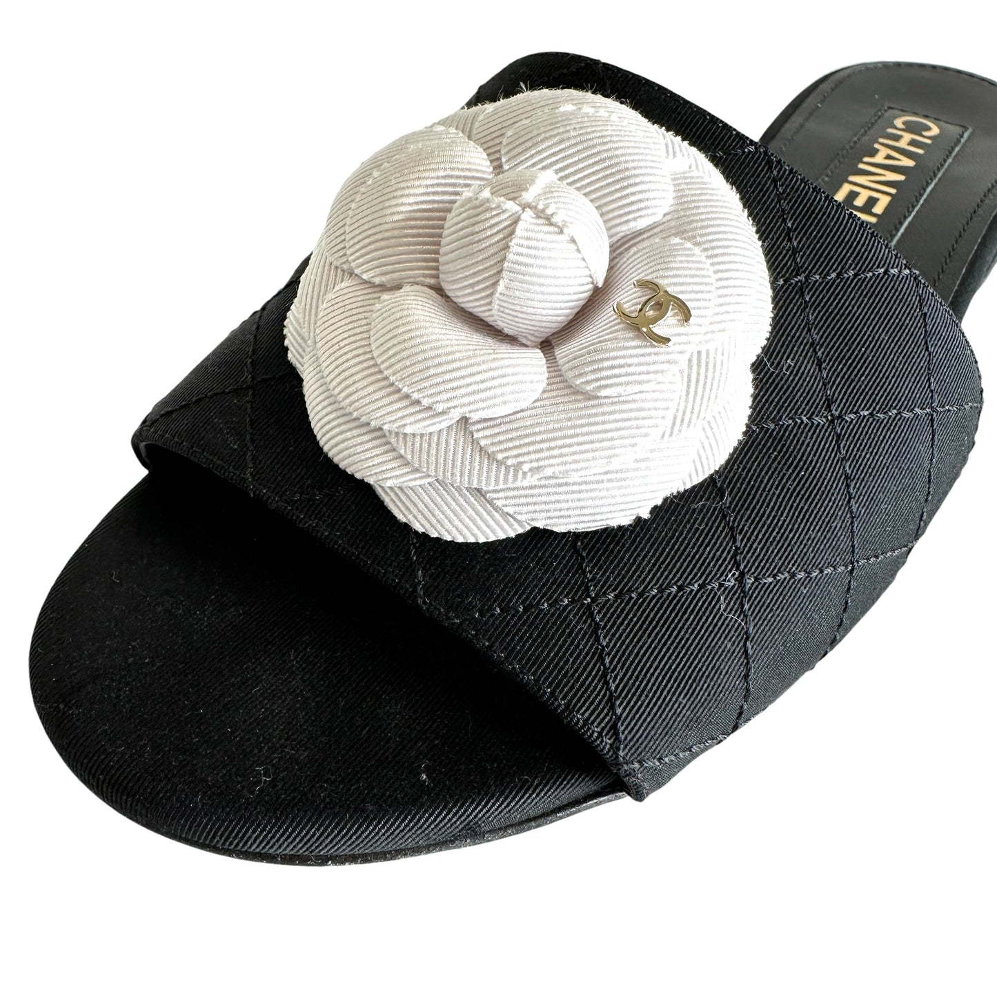 Logo Camelia Slides - 9.5
