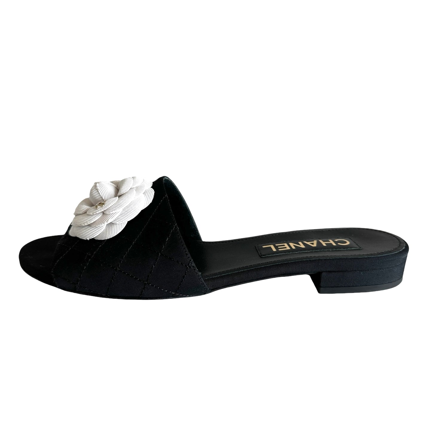 Logo Camelia Slides - 9.5