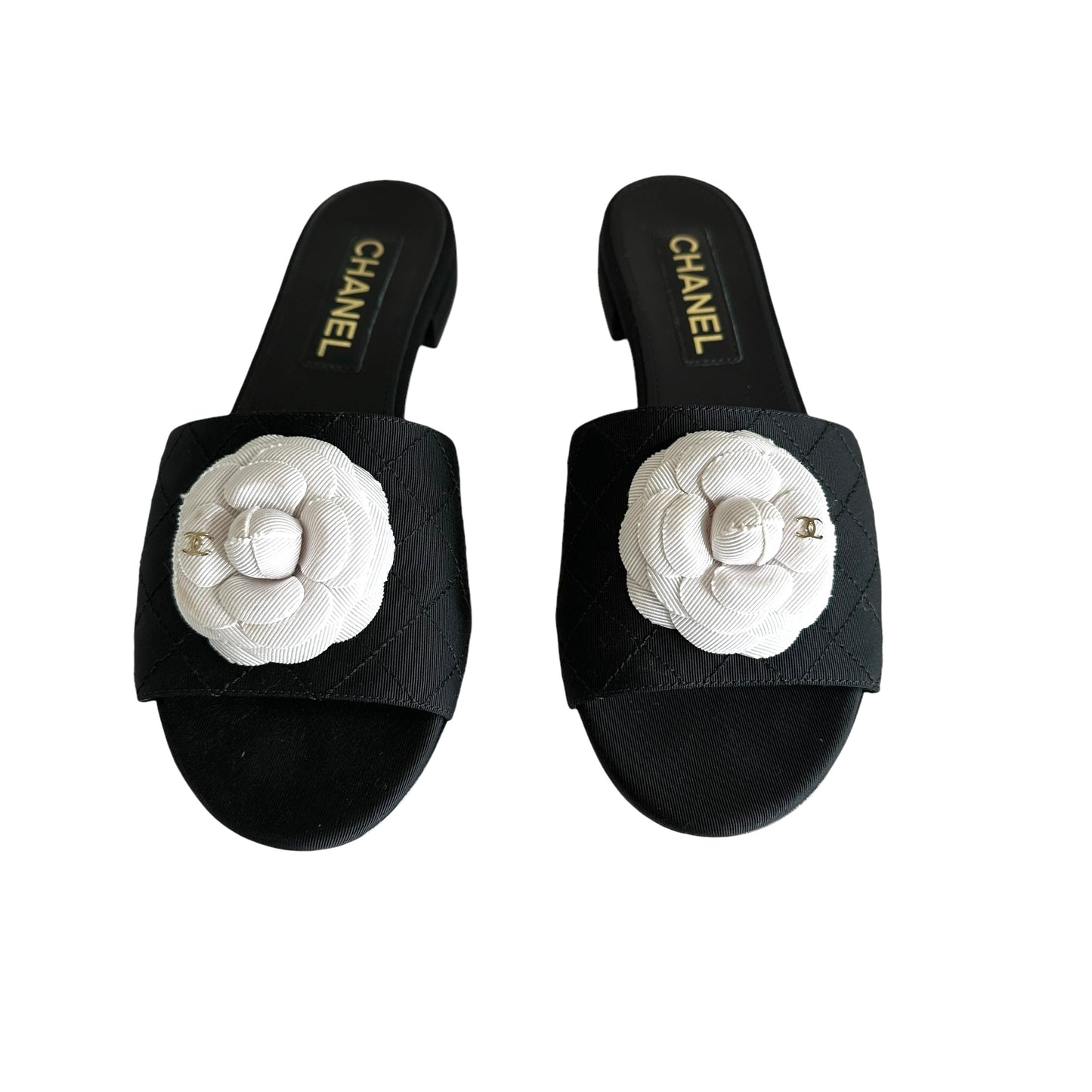 Logo Camelia Slides - 9.5