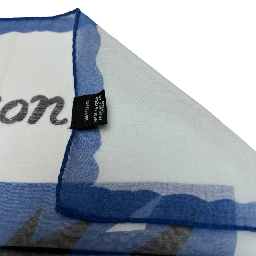 Blue & White "L'hiver" Scarf