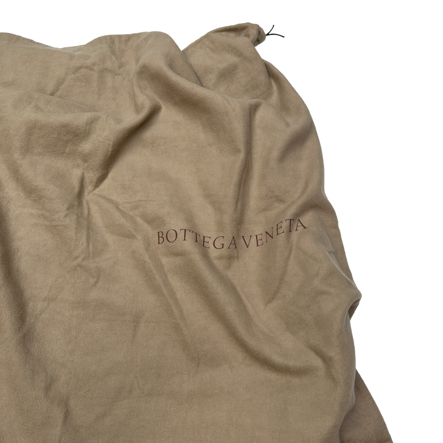 Beige Alligator Hobo Bag