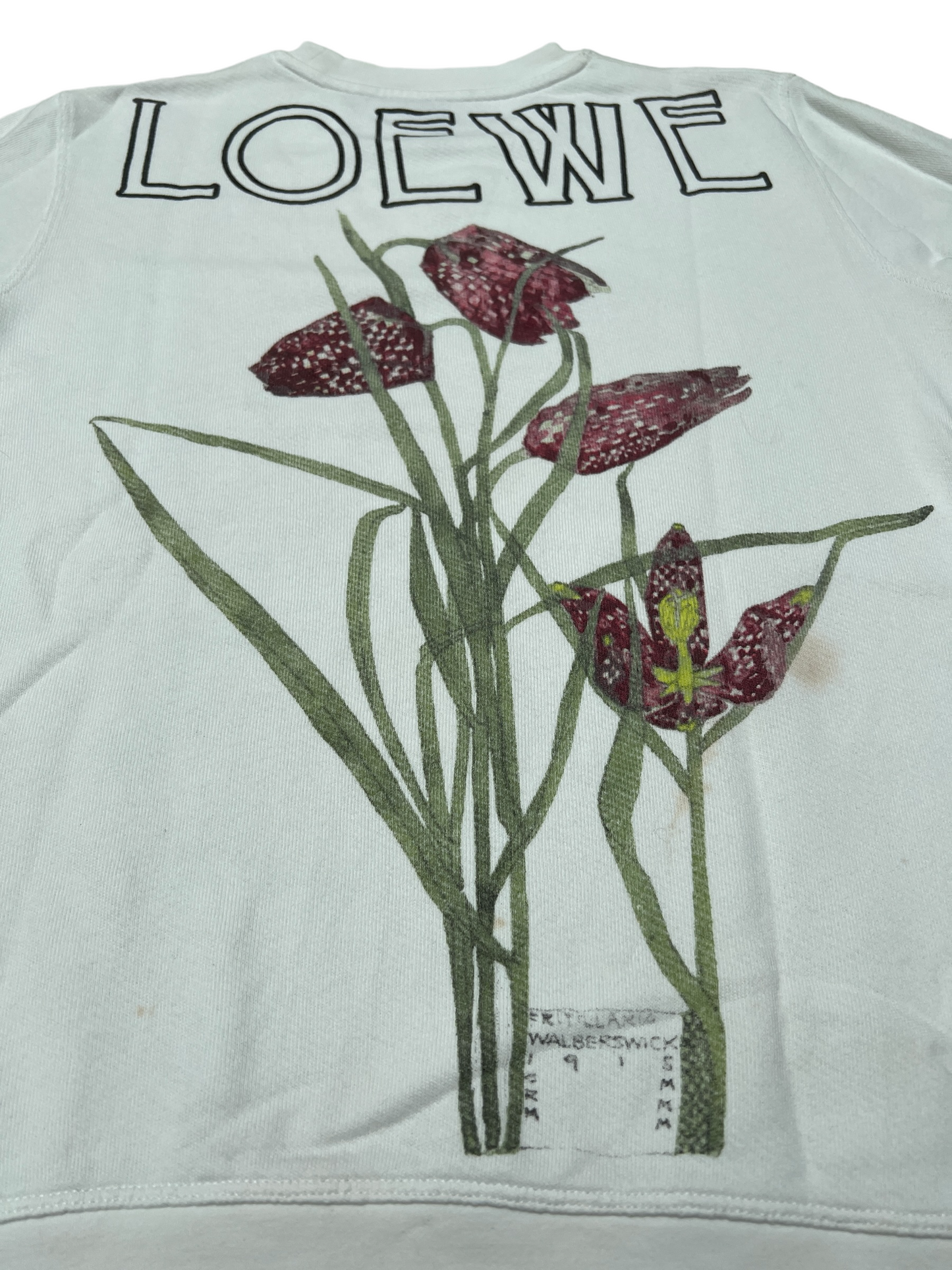 White Sweatshirt - XS