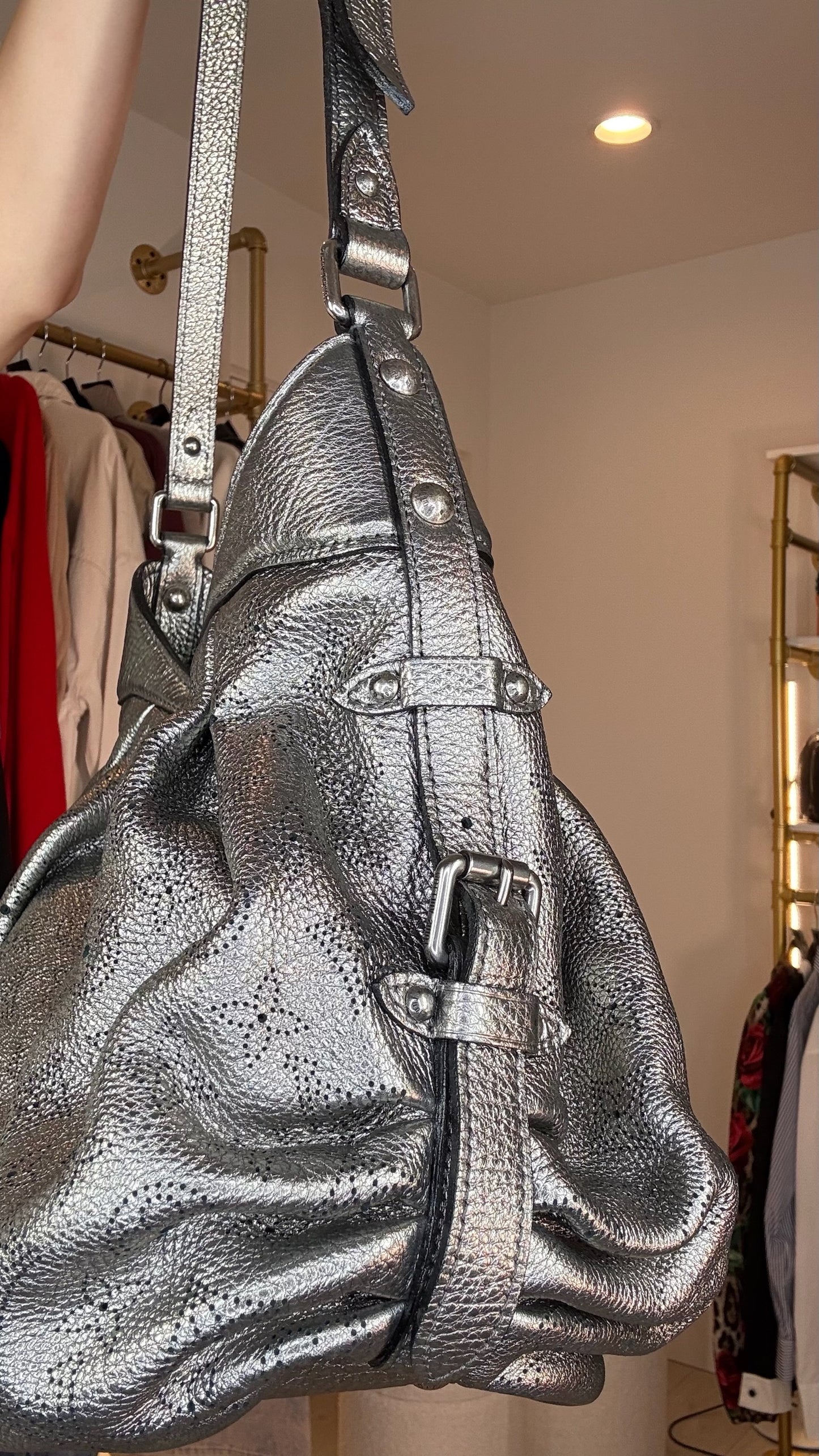 Louis Vuitton Metallic Hobo Bog