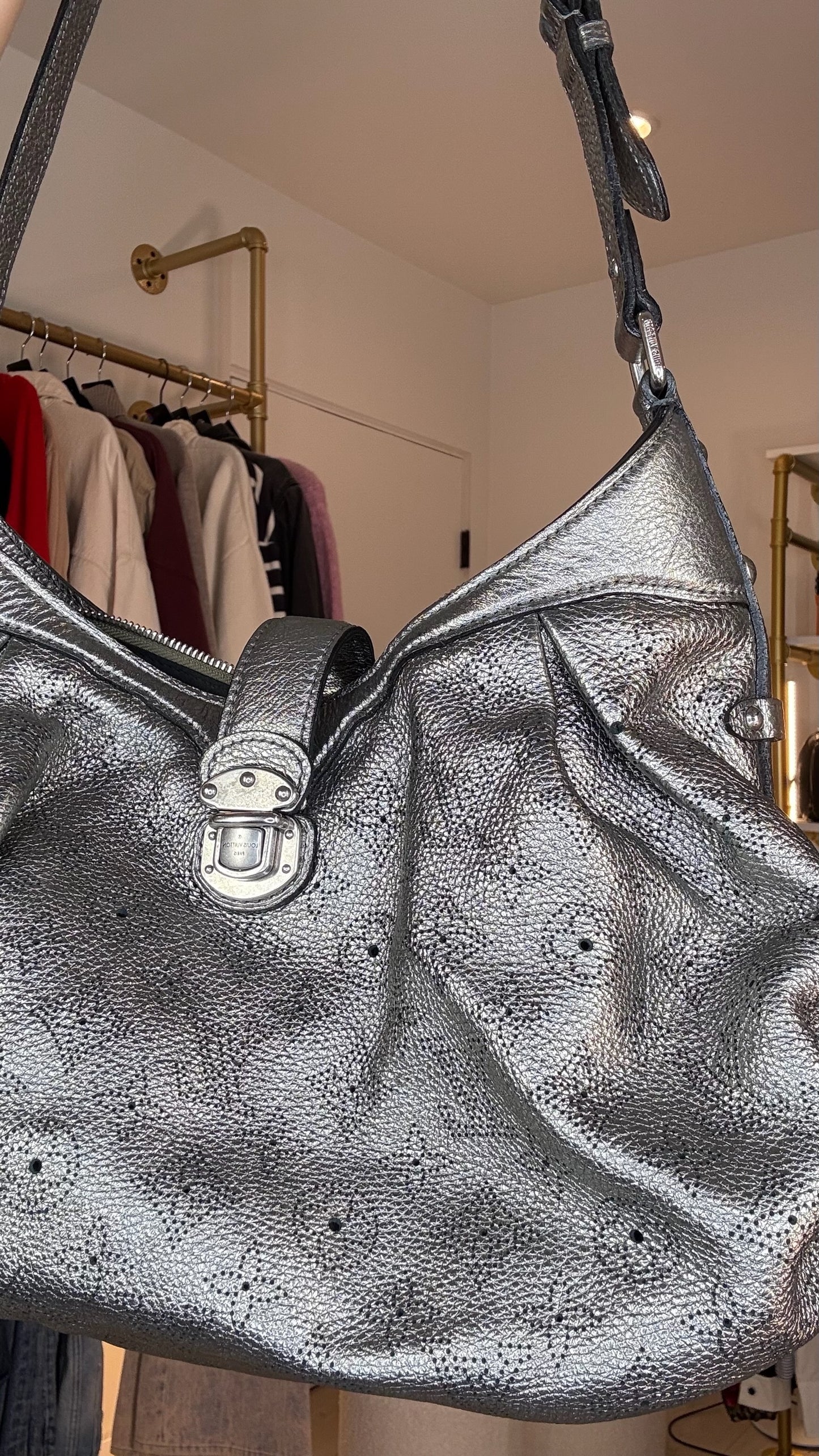 Louis Vuitton Metallic Hobo Bog