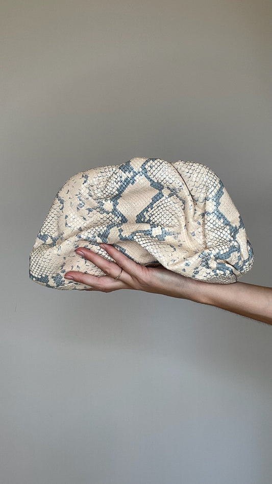 Python Pouch Mini Clutch