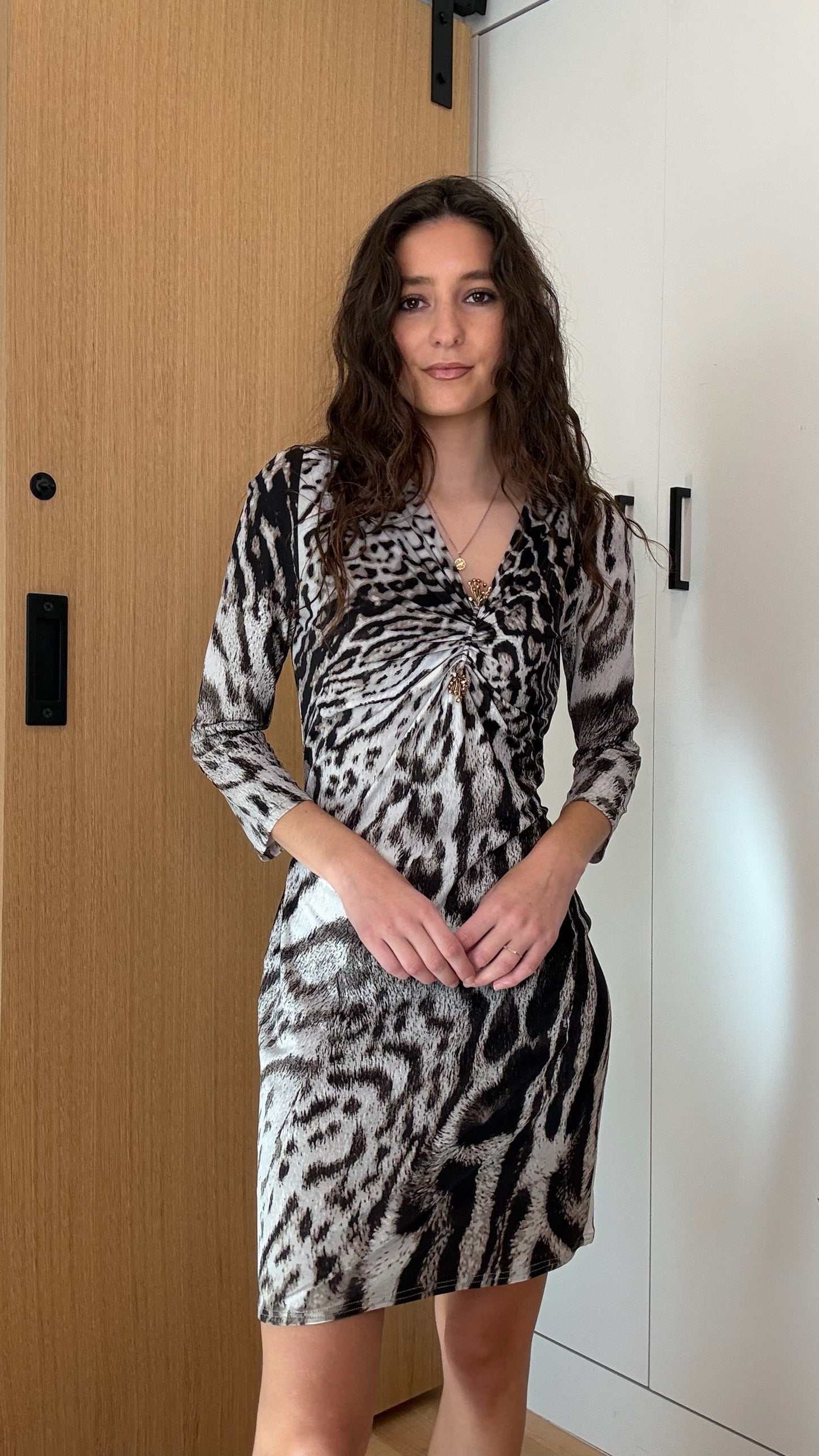 Animal Print Dress - M