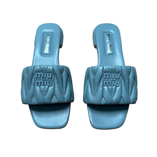 Blue Logo Slides