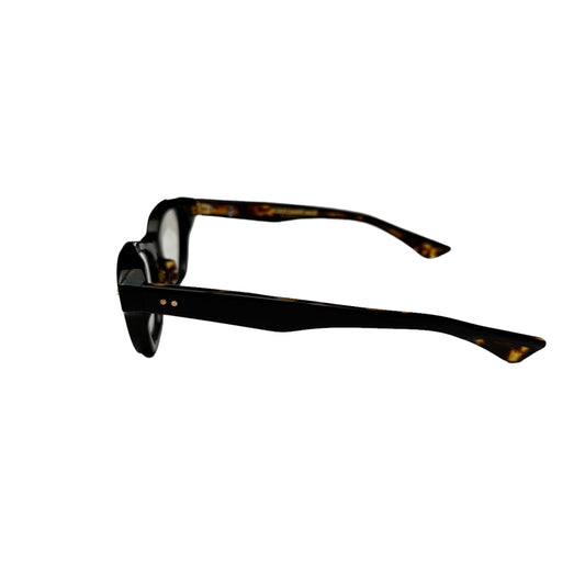Wayfarer Brown Glasses
