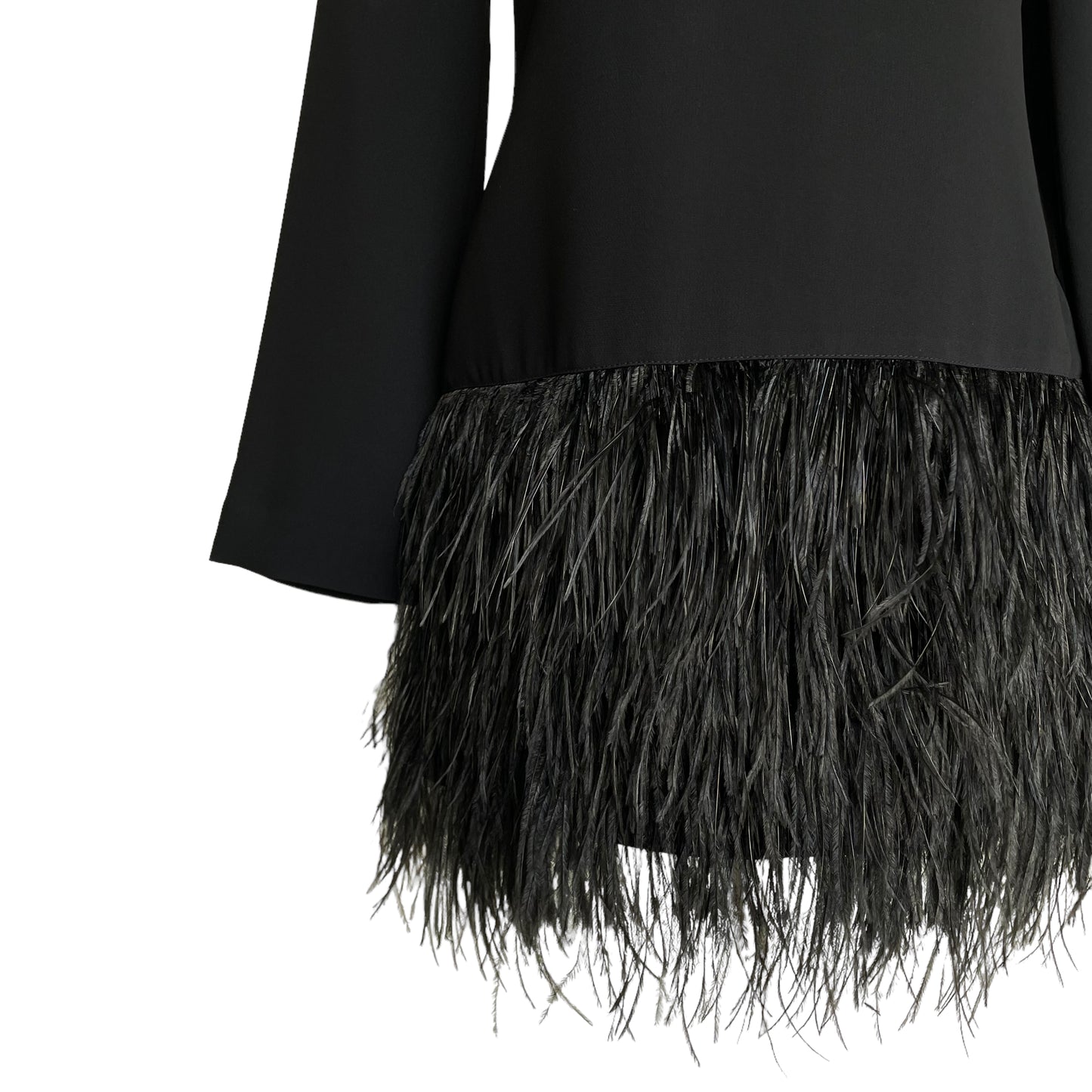 Long Sleeve Black Feather Dress - S