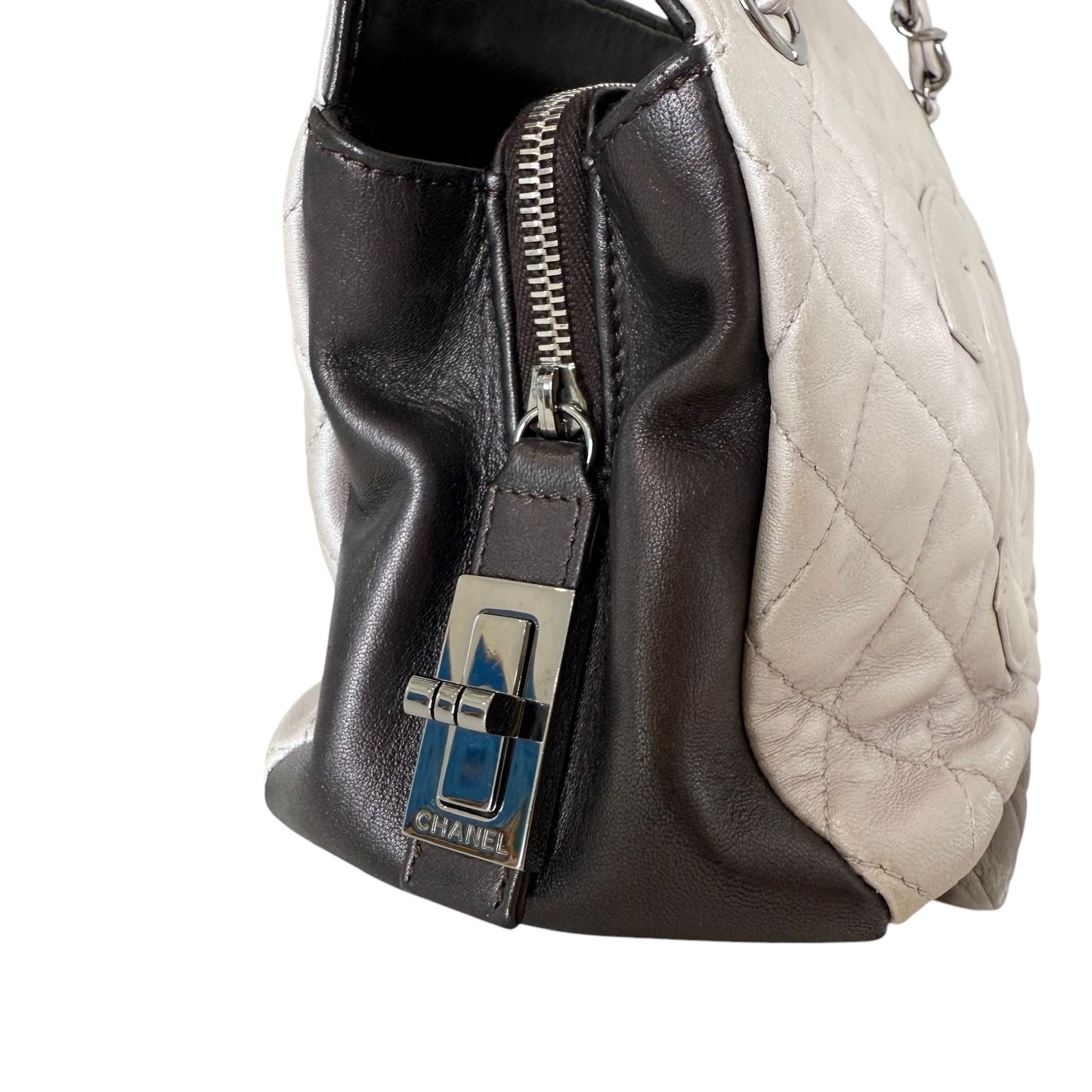 Metallic Lambskin Cocomark Bag