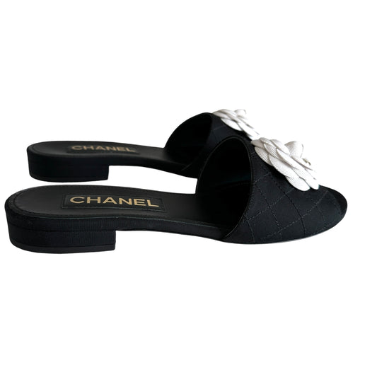 Logo Camelia Slides - 9.5
