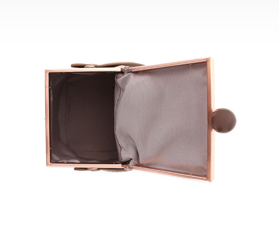 Dona Tan Leather Square Box Bag